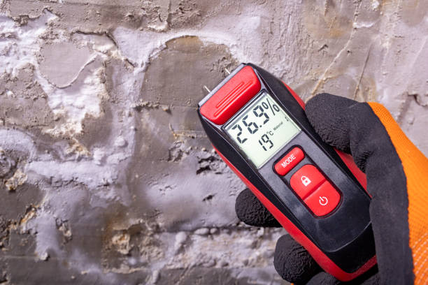 Best Affordable Mold Removal  in Franklin, LA