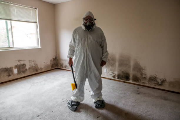 Best Mold Testing  in Franklin, LA